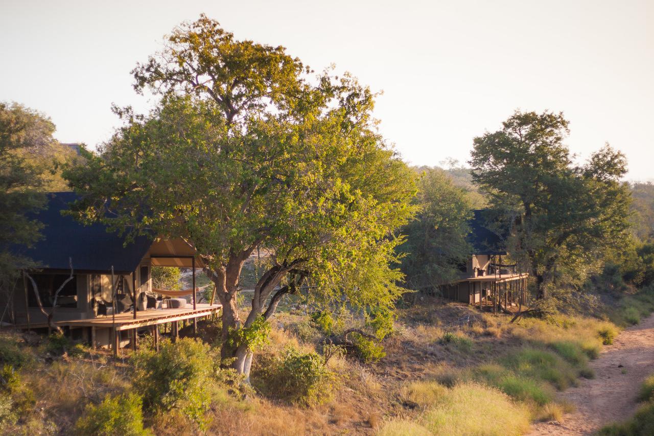 Willa Garonga Safari Camp Makalali Game Reserve Zewnętrze zdjęcie