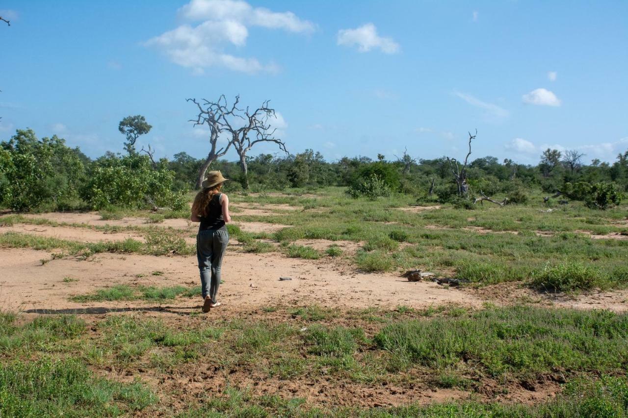 Willa Garonga Safari Camp Makalali Game Reserve Zewnętrze zdjęcie